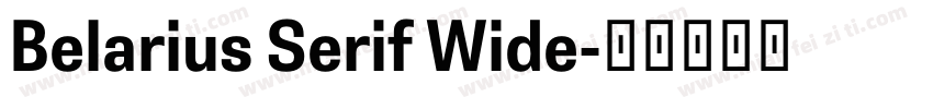 Belarius Serif Wide字体转换